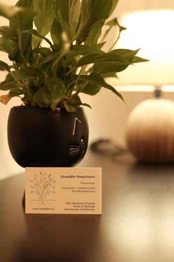 Γραφείο της ψυχολόγου Ελισσάβετ Μπαμπλέκου στην περιοχή Πανόρμου